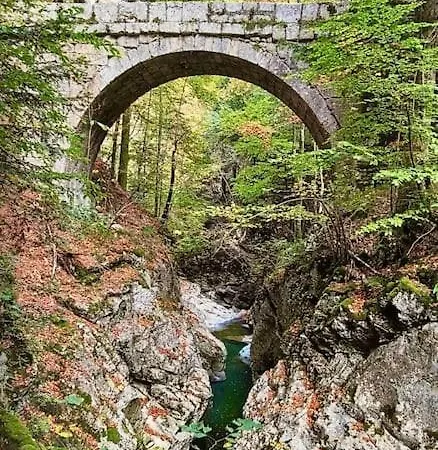 Apartment Magnifique T2 Refait A Neuf - Calme & Equipe Avec Parking