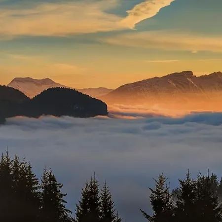 Apartment Magnifique T2 Refait A Neuf - Calme & Equipe Avec Parking