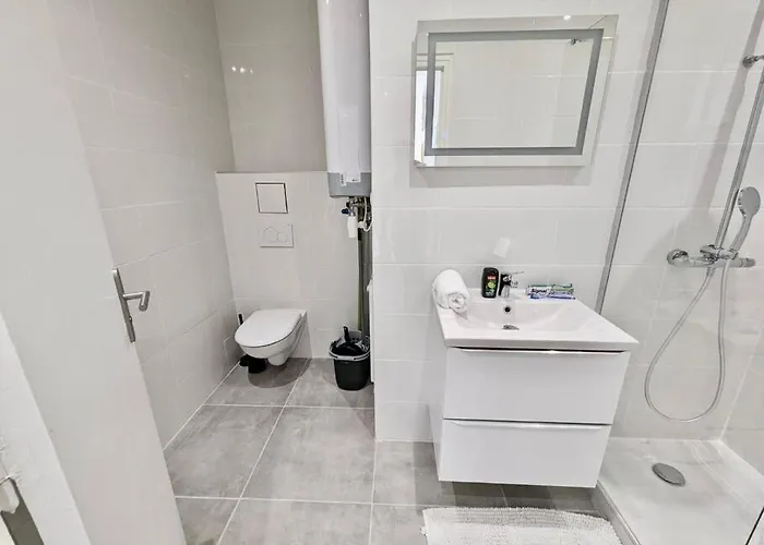 Magnifique T2 Refait A Neuf - Calme & Equipe Avec Parking Апартаменти Гренобль