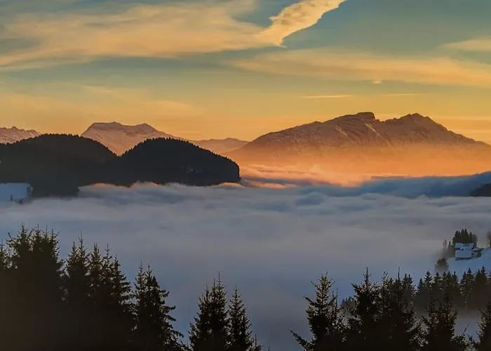 Апартаменти Magnifique T2 Refait A Neuf - Calme & Equipe Avec Parking