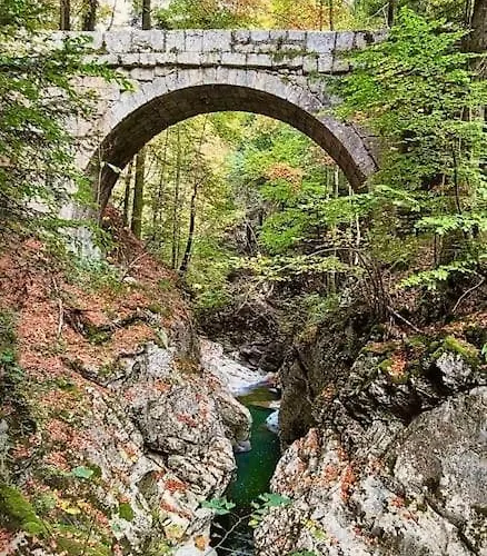 Apartment Magnifique T2 Refait A Neuf - Calme & Equipe Avec Parking